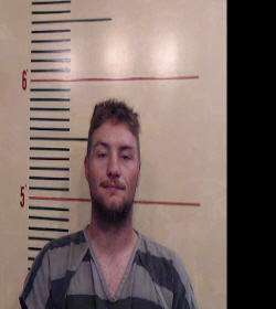 GRACE, TRENT LEE booking photo