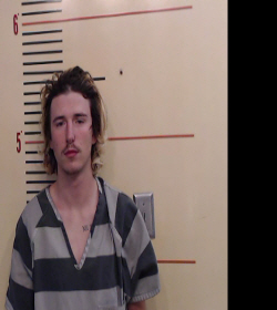 HARRIS, JACE RYAN booking photo