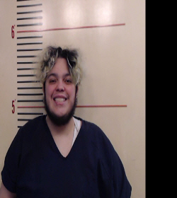 GOMEZ, VICTORIA BLAKE booking photo