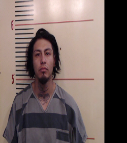 HERRERA, DANIEL booking photo