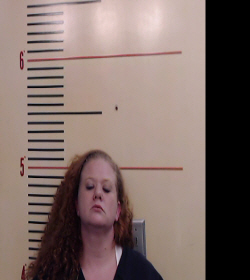 Greenfield, Courtney Elizabeth arrested by Parker County Sheriff’s Office