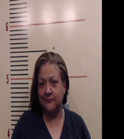 HERNANDEZ, CHRISTINA MICHELE booking photo