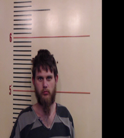 Green, Jaime Ricky Leon booking photo