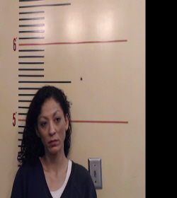 Hernandez, Stephanie booking photo