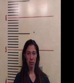 Gray, Jessica Anne booking photo