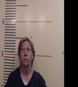 FLANAGAN, JOAN DEBB booking photo