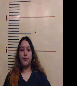 GONZALEZ, VICTORIA ANDREA booking photo