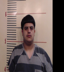 Gloria, Bryan Robert booking photo