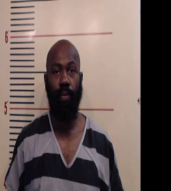 Hollins, Anthony Wayne, II booking photo