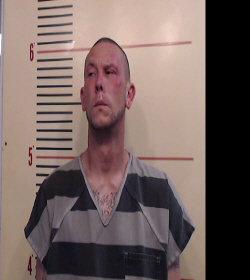 HALL, WILLIAM DALE booking photo