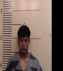 FRANCISCO-GREGORIO, BARTOLO booking photo