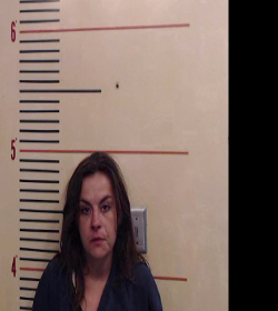 DRAKE-GIBBINS, LESIE NICOLE booking photo