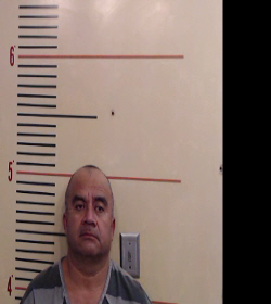 HERNANDEZ-ALVAREZ, LEOPOLDO booking photo