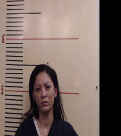 Hernandez, Stephanie booking photo