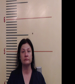 Hamilton, Alison Lee booking photo