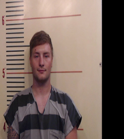 GRACE, TRENT LEE booking photo