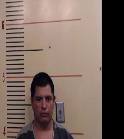 SALES, PEDRO FRANSISCO booking photo