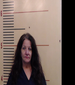 DENNIS, JANET HILL booking photo