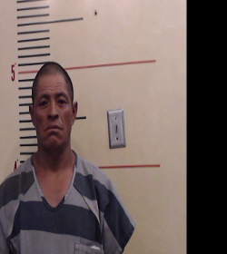 FRANCISCO-GREGORIO, MARGARITO booking photo