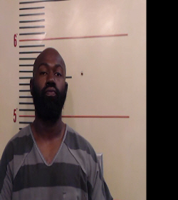 Hollins, Anthony Wayne, II booking photo