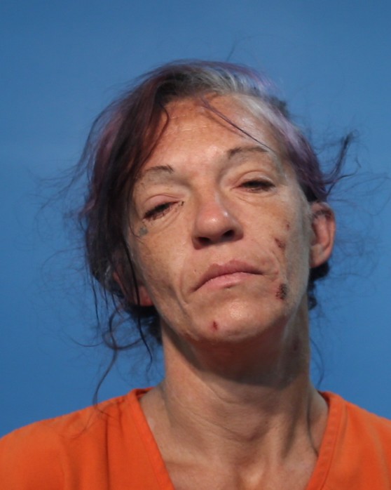 SHELDON, ASHLEY NOEL booking photo