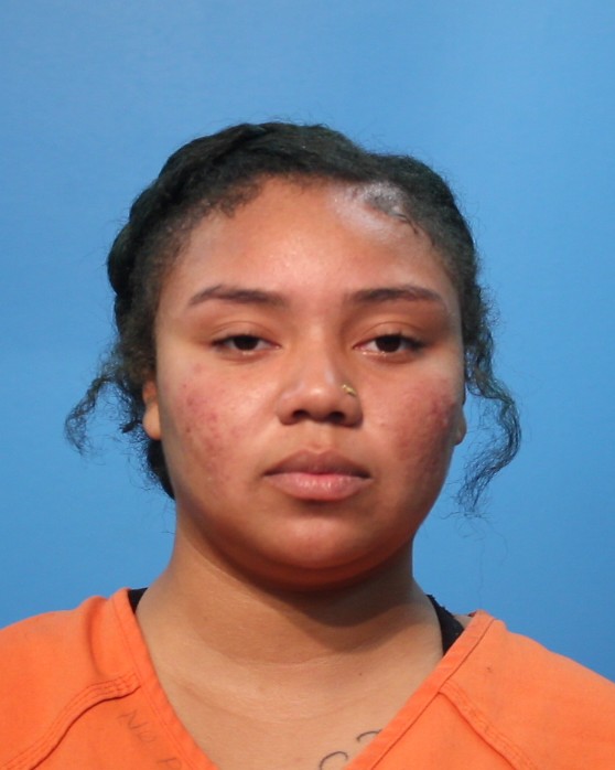 HAWKINS, MALISSA booking photo