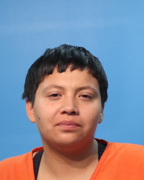 Vargas, Janet booking photo