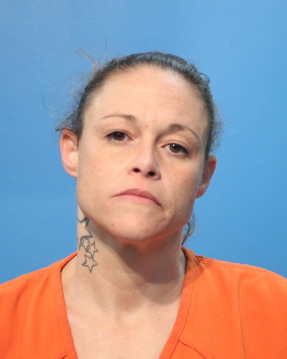 Ludwig, Elizabeth Marie booking photo