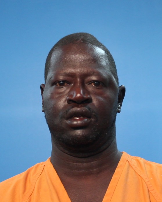 DAFALLA, WAEL booking photo