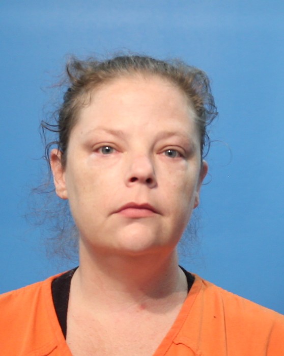 BAUMANN, JUDITH ANNE booking photo