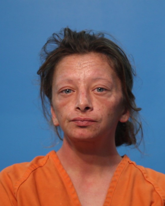 Rushing, Danielle Nicole booking photo