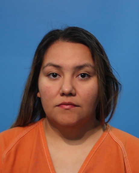 MEJIA BRAVO, TERESA booking photo