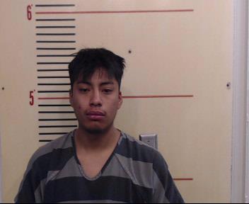 GONZALEZ, EVERARDO MARTINEZ booking photo