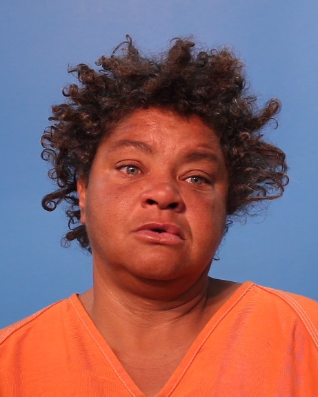 WATKINS, ANGELA DAVISON booking photo