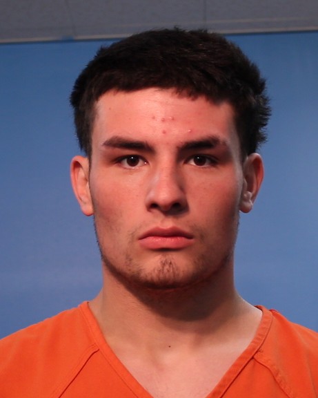 LECEA, GAGE LEE booking photo