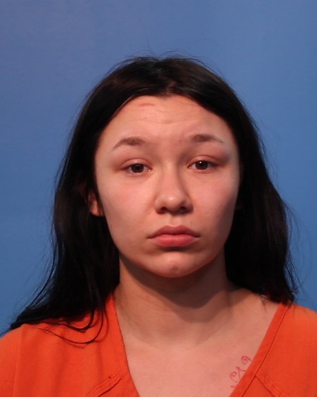 LITTELL, NEVADA RAY-LYNN booking photo