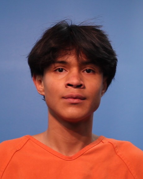 Poitan Sanchez, Erik booking photo