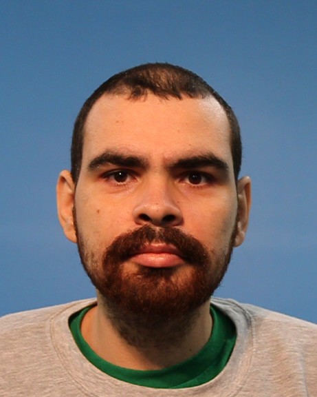 Venne, Palmer John booking photo