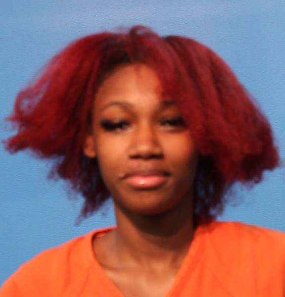 Palmer, Sinai SHA LASH booking photo