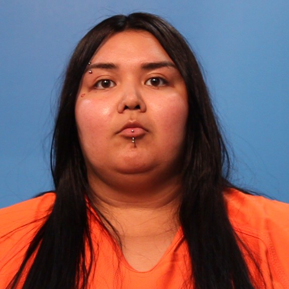 Castillo, Alexis Lee booking photo