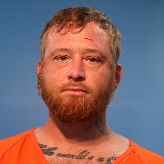 HINSON, JOSHUA DEAN booking photo