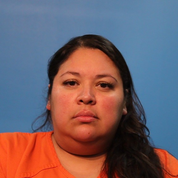 SAUCEDA, CYNTHIA booking photo