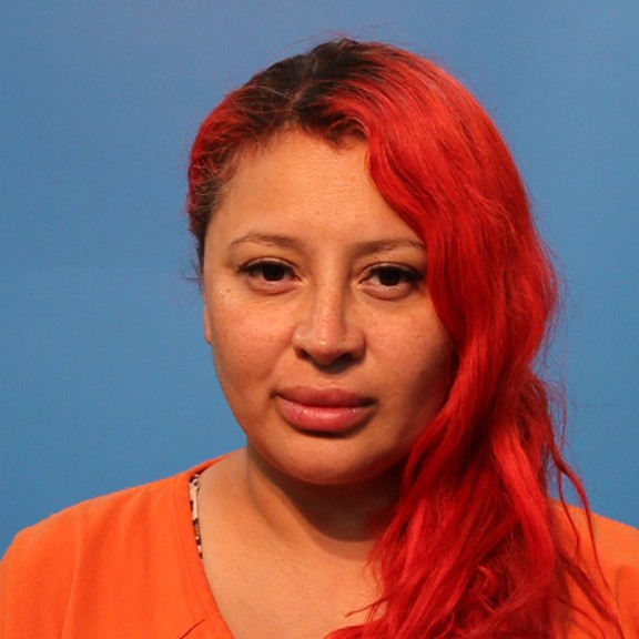 Vargas, Maria Isabel booking photo