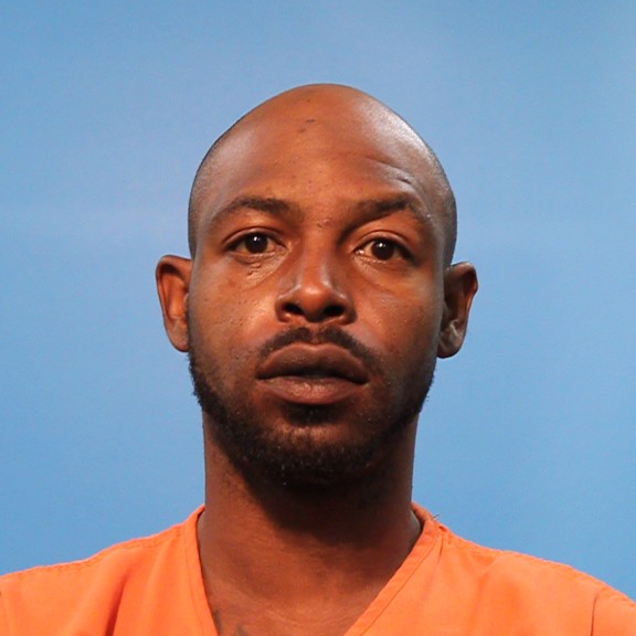 Wells, Gavyn Ellis booking photo