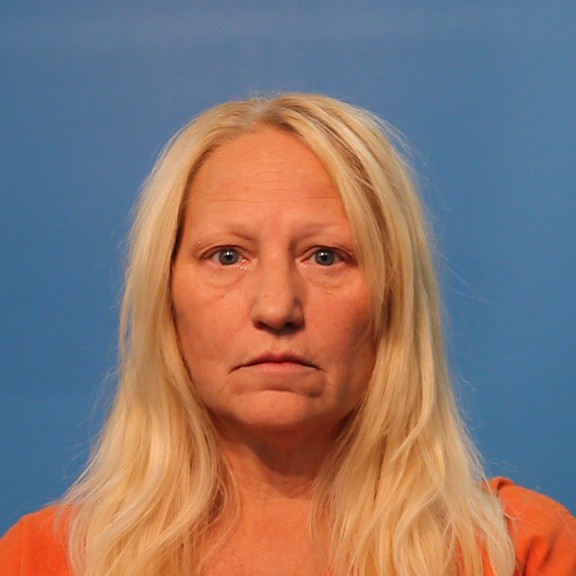 Davis, Brandy booking photo