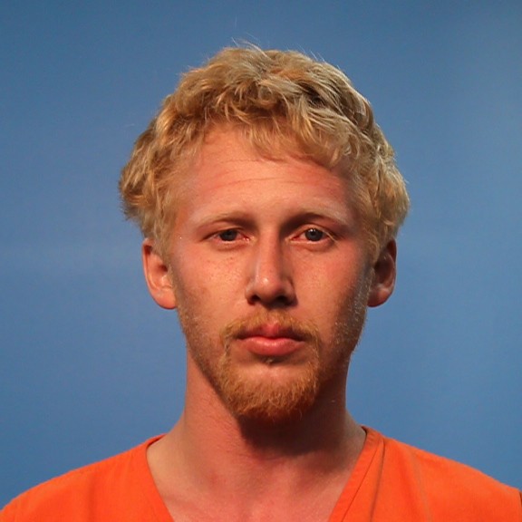 McAdams, Trenton Wayne booking photo