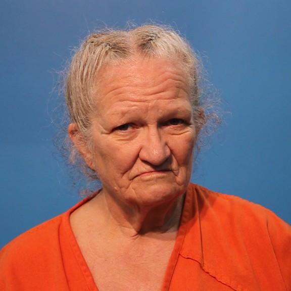 Norman, Debra booking photo