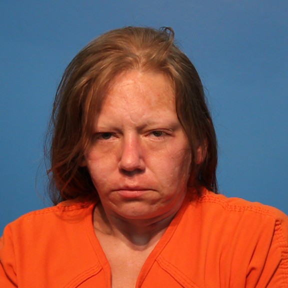 HUDSON-PITTS, HAYLEY NICOL booking photo