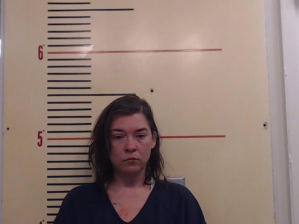 HAMPTON, BRANDY MICHELLE booking photo