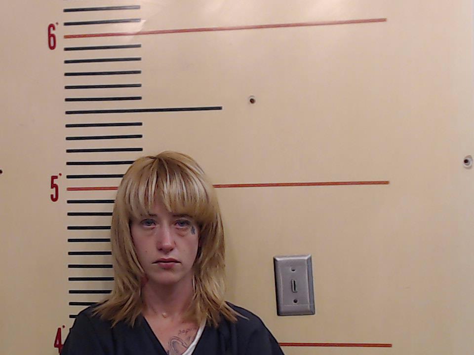 GARVIN, JESSICA DEE booking photo